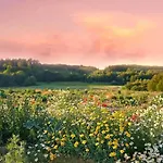 別荘 Large, Atmospheric In The Countryside