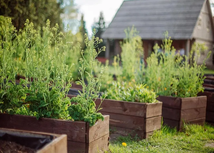Large, Atmospheric In The Countryside Holiday home *