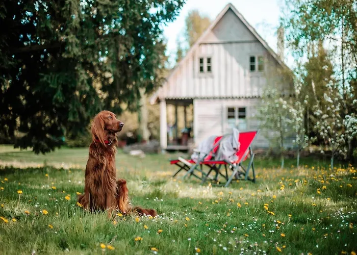 Large, Atmospheric In The Countryside *