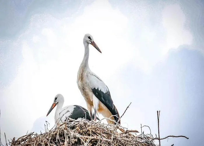 Holiday home Large, Atmospheric In The Countryside