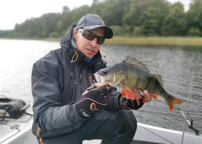 Holiday home Large, Atmospheric In The Countryside *